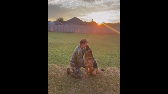 Reakcja psa na widok właściciela, który wrócił do domu po 6-miesięcznej misji