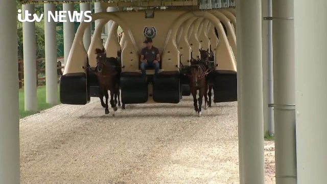 System szkolenia koni wyścigowych, który kosztował ponad 20 milionów funtów