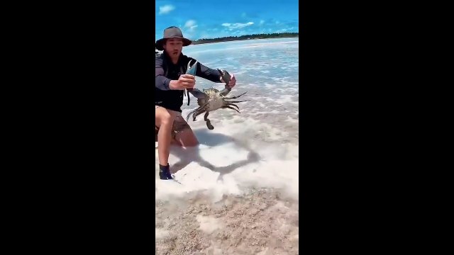 Krab nawet nie może spokojnie odpocząć w piasku