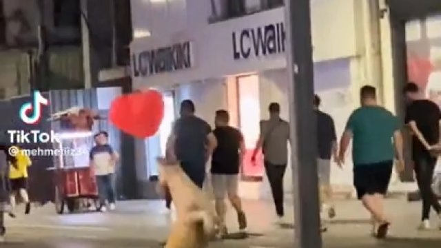 Pies bawiący się balonem na ulicach Stambułu