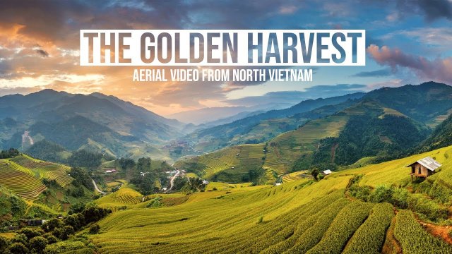 Tarasy Ryżowe w z Wietnamu Północnego (Nagranie z Drona w 4K)