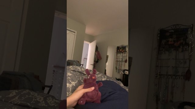 Pies wskakuje na łóżko do swojej Pani