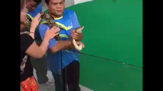 Dziewczyna próbowała pocałować węża. Została ukąszona w twarz