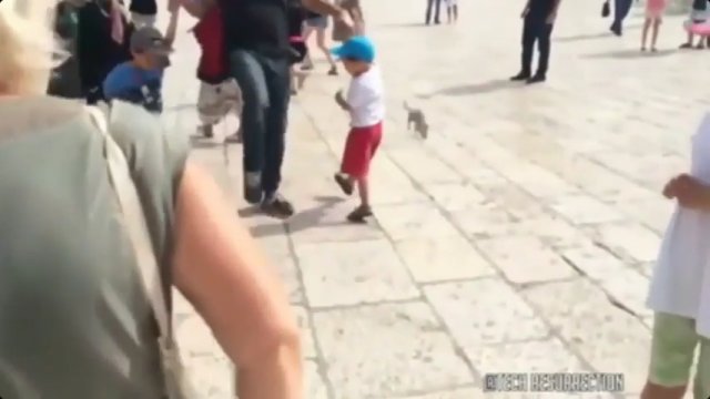 Ojciec kopnął szczura w twarz własnemu dziecku.