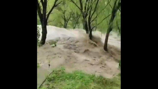 Fala powodziowa zaskoczyła nagrywającego. Ledwo uciekł na drzewo!