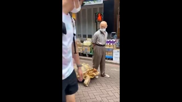Starszy człowiek wychodzi na spacery ze swoim olbrzymim żółwiek