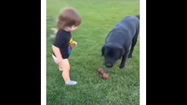 Tatuś uczył dziecko, jak bawić się w aportowanie z psem