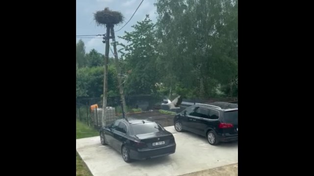 Ten "sąsiad" ostro odleciał. Porysował dwa auta zaparkowane pod jego chatą