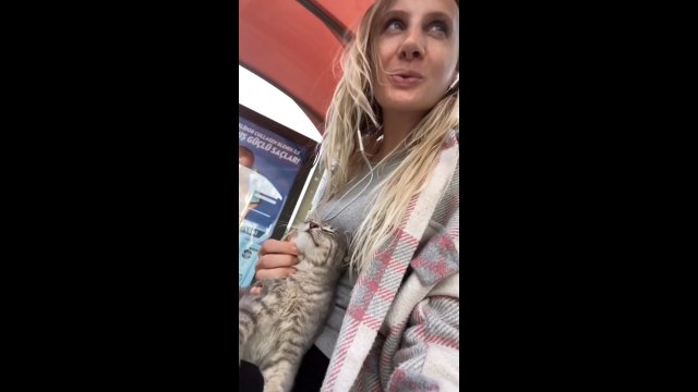 Słodki kociak próbował zauroczyć kobietę czekającą na autobus