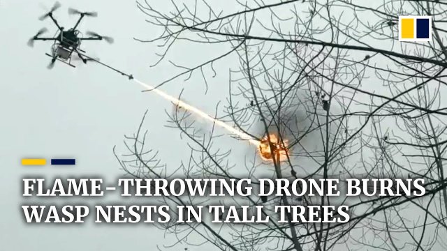 Dron miotający ogniem unicestwia gniazdo