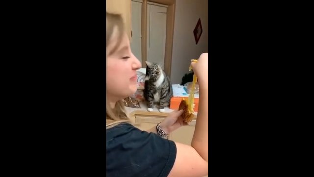 Właścicielka nie chciała podzielić się z kotem jedzeniem