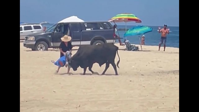 Dziki byk zaatakował turystkę na plaży. Kobieta sama się o to prosiła [WIDEO]