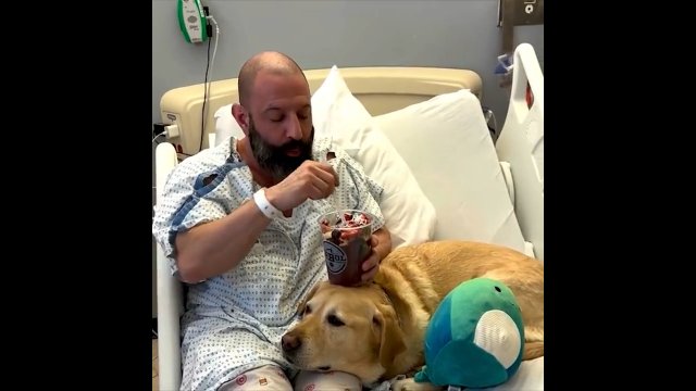 Mężczyzna był hospitalizowany, a jego pies cały czas go wspierał