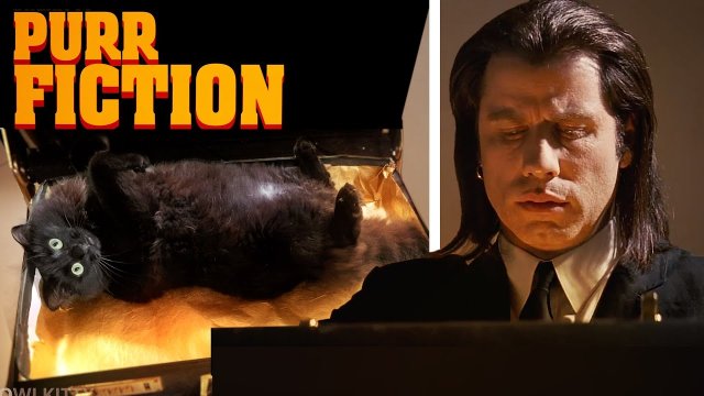 Pulp Fiction z kotełem