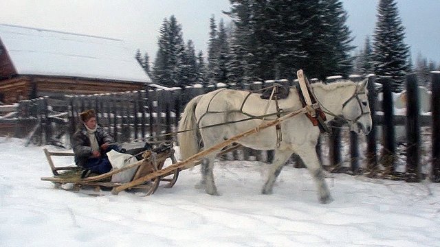 Na koniu przez tajgę: tak się pracuje listonoszom na Syberii