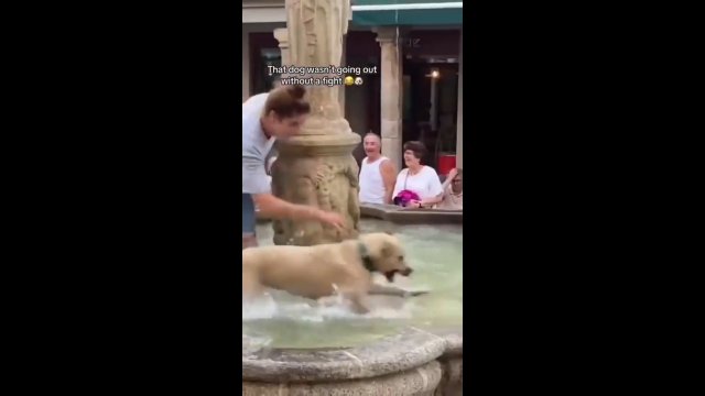 Właścicielka nie mogła powstrzymać swojego psa przed wskoczeniem do fontanny