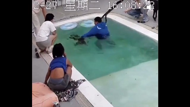 Pies, który nie umie pływać, wpadł do basenu... dwa razy