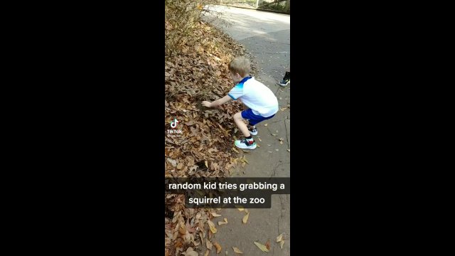 Dzieciak próbował podnieść wiewiórkę