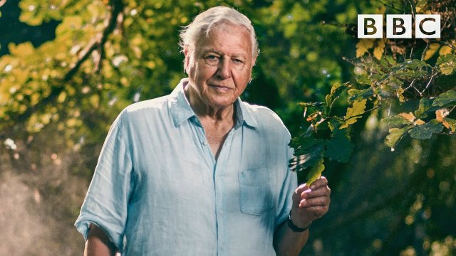95 lat w 95 sekund - BBC dla Davida Attenborough