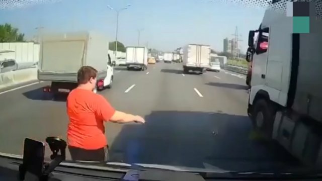 Kierowca ciężarówki dostrzega maleńkiego kociaka na autostradzie i ratuje go od pewnej śmierci