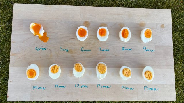 Które jajko jest twoje?