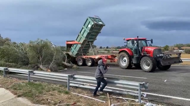 Hiszpańscy rolnicy zrzucają drzewa, aby zablokować granicę z Francją [WIDEO]