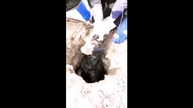 Akcja ratowania psa, który utknął w głębokiej dziurze