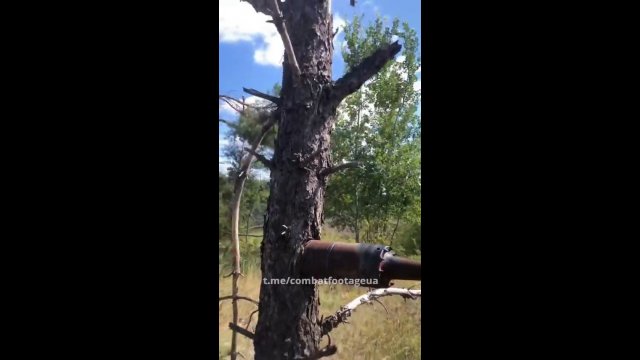 Ukraiński żołnierz pokazał pocisk, który utknął w drzewie i nie eksplodował.