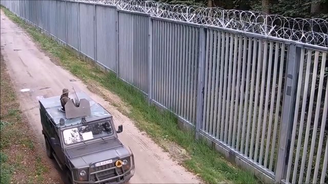 Przemarsz migrantów z łopatami i szpadlami wzdłuż granicy Polski [WIDEO]