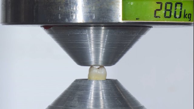 Prasa hydrauliczna vs prawdziwy ludzki ząb