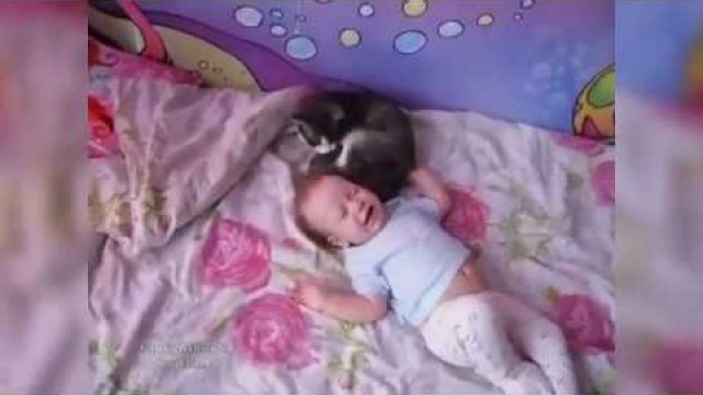 Koteł uspokaja płaczące dziecko
