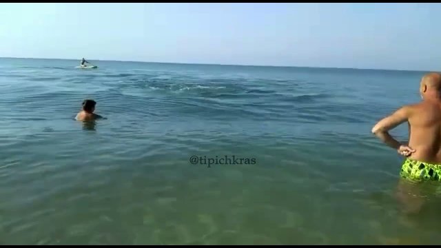 Delfin rzucił rybą w turystę na wybrzeżu Morza Czarnego