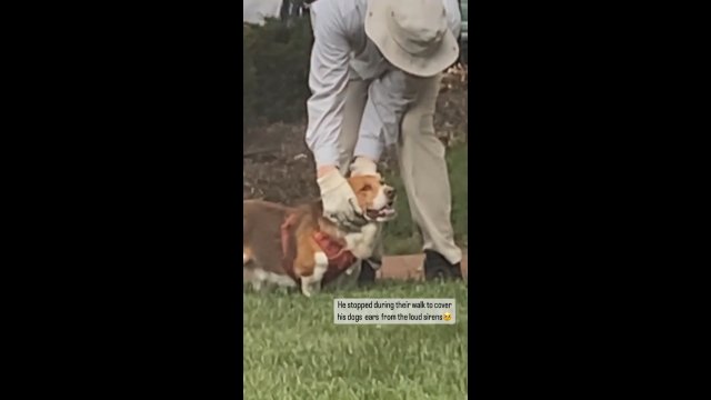 Mężczyzna chroni uszy swojego psa przed głośną syreną