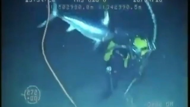 Nurek zostaje zaatakowany przez miecznika na głębokości 220 metrów pod powierzchnią