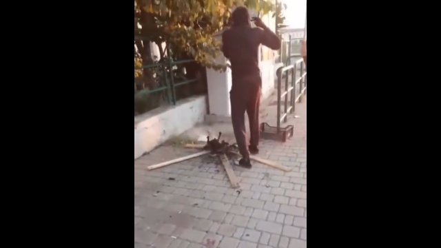 Bezdomny próbował upiec na ognisku zabitego przez siebie kota