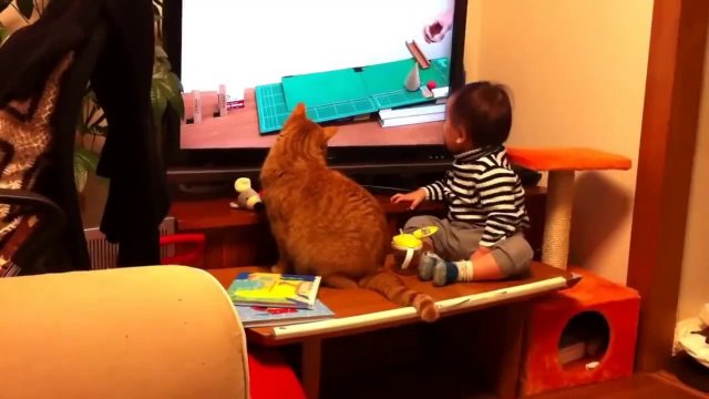 Kot i dziecko oglądają razem TV
