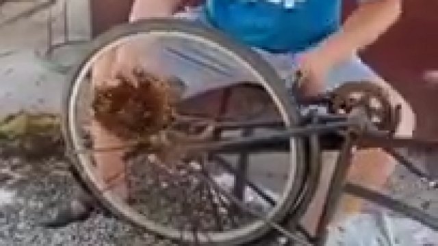 Chińska metoda czyszczenia słonecznika