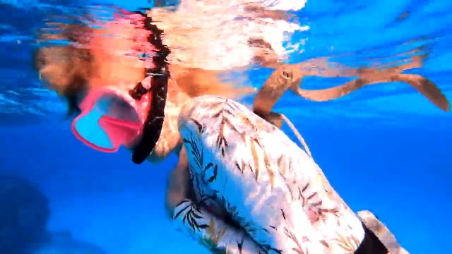 Jadowity oliwkowy wąż morski podpłynął do nurkującej kobiety u wybrzeży Australii