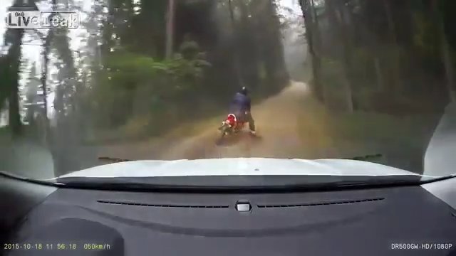 Motocyklista próbował uciekać policji. Na swoje nieszczęście wybrał drogę przez las